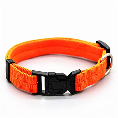 1 Pc Haustier Hundehalsbänder Verstellbare Clipschnalle Hundehalsbänder Nylon Hundekopfhalsbänder-Orange,M von ZXDC