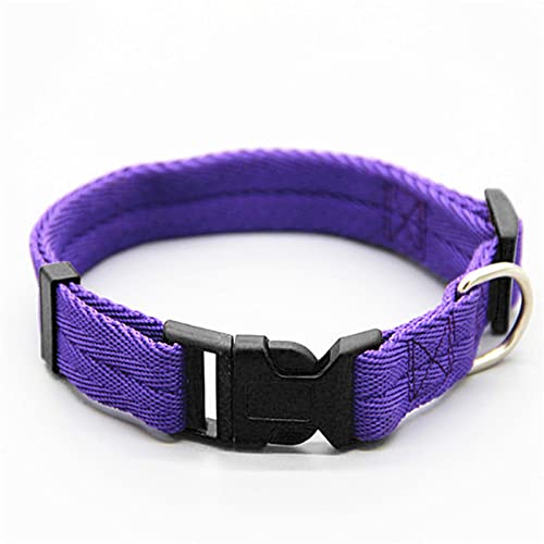 1 Pc Hundehalsband Verstellbares Hundehalsband Für Kleine Und Große Hunde Hundehalsband Aus Nylon-Lila,L von ZXDC