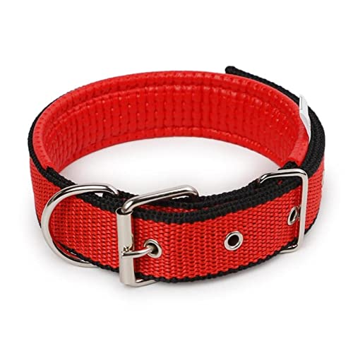 1 Stück Bequemes Verstellbares Hundehalsband Mit Nylonriemen 6 Farben Plus Größe Haustierhalsband Für Hunde Elastisch Verstellbar-Rot Schwarz,2.0x50cm von ZXDC