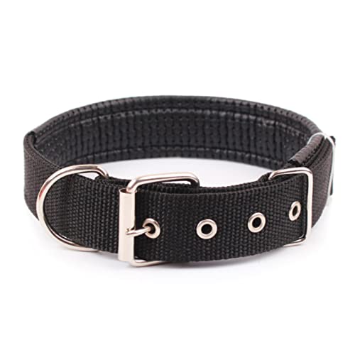 1 Stück Hundehalsbänder Nylon-Hundehalsband für kleine, mittelgroße Hunde, Teddy, Pitbull, Bulldogge, Beagle, Haustierprodukte, Schwarz, 2,0 x 50 cm von ZXDC