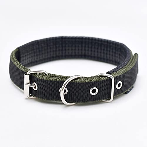 1 Stück Hundehalsbänder Nylon-Hundehalsband für kleine, mittelgroße Hunde, Teddy, Pitbull, Bulldogge, Beagle, Haustierprodukte, Schwarz, Grün, 2,5 x 55 cm von ZXDC