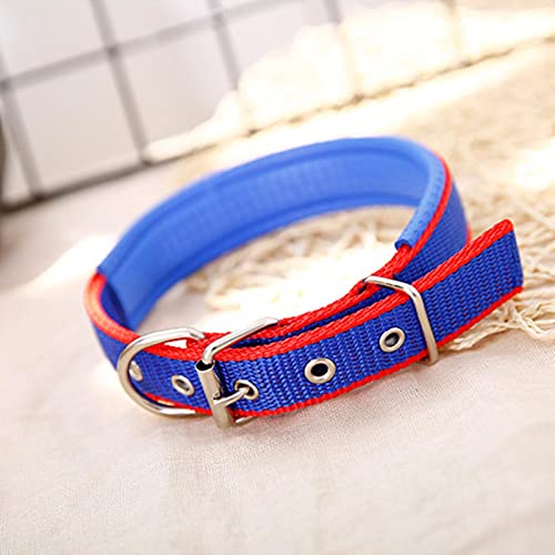 1 Stück Hundehalsbänder Nylon-Hundehalsband für kleine, mittelgroße Hunde, Teddy, Pitbull, Bulldogge, Beagle, Haustierprodukte, blau, rot, 2,0 x 50 cm von ZXDC