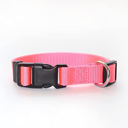 1 Stück Kleine Katze Hundehalsband Haustier Frei Verstellbares Nylonhalsband Weich Bequem Langlebig Für Große Mittlere Hunde-Rose Rot, M 1,5 cm von ZXDC