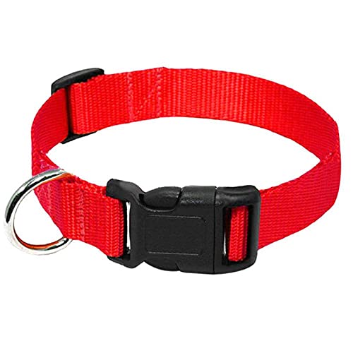 1 Stück Nylon-Hundehalsband, strapazierfähiges Hundehalsband mit Clipschnalle, für kleine, mittelgroße Hunde, Chihuahua, Training, Laufen, Hundehalsband, Rot, L von ZXDC