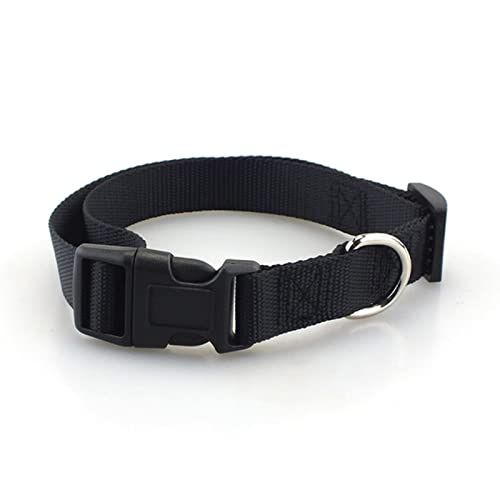 1 Stück Nylon verstellbares Hundehalsband strapazierfähiges Haustierhalsband mit Clipschnalle für kleine mittelgroße Hunde Chihuahua-Hund-schwarz,L von ZXDC