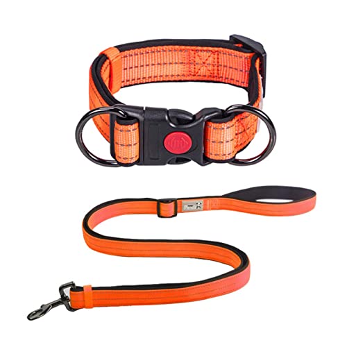 1 Stück Reflektierendes Hundehalsband und Leine, verstellbar, langlebig, hell, Leuchtend, Halskette, Doppel-D-Ring für kleine, große Hunde, orangefarbenes Set, L von ZXDC