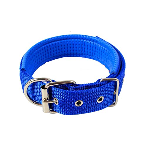 1 Stück Solide Hundehalsbänder Nylon Hundehalsband Für Kleine Mittelgroße Hunde Teddy Pitbull Bulldogge Beagle-Blau,40X700mm von ZXDC