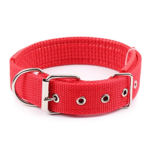 1 Stück Solide Hundehalsbänder Nylon Hundehalsband Für Kleine Mittelgroße Hunde Teddy Pitbull Bulldogge Beagle-Rot,M von ZXDC