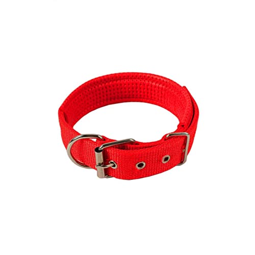 1 Stück Solide Hundehalsbänder Nylon-Hundehalsband für kleine, mittelgroße Hunde, Teddy, Pitbull, Bulldogge, Beagle, rot, 30 x 580 mm von ZXDC