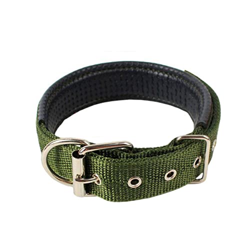 1 Stück Solide Hundehalsbänder Nylon-Hundehalsband für kleine, mittelgroße Hunde, Teddy, Pitbull, Bulldogge, Beagle-Armeegrün, 30 x 580 mm von ZXDC