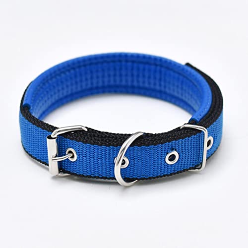 1 Stück Solide Hundetrainingshalsbänder Nylon Hundehalsband Für Kleine Mittelgroße Hunde Teddy Pitbull Bulldogge Beagle-Blau Schwarz,M von ZXDC