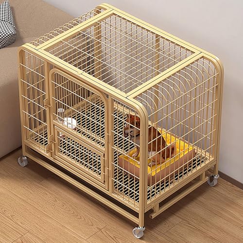 ZXDRYBHD Hundebox, Hühnerhaus, Katzenhütte, Verdicktes Vierkantrohr, mit Abnehmbarem Tablett, für Kleine, Mittelgroße und Große Welpen(Yellow,61x45x58cm/24x17.7x22.8in) von ZXDRYBHD