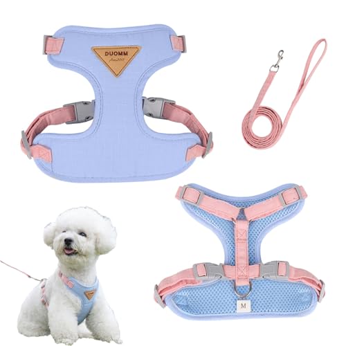 Katzengeschirr, Katzengeschirr mit Leine Ausbruchsicher Verstellbar Brustgeschirr Katzen Leine Blau Katzenleine mit Geschirr für Katzen Welpe Cat Harness Katzen Geschirr (M) von ZYETGH