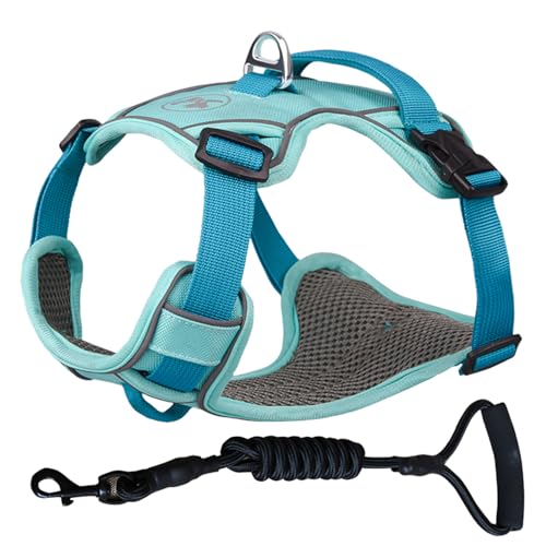 ZYTECO Hundegeschirr Leine Anzug Anti-Burst-Aufprall Verstellbar Reflektierend Wasserdicht Atmungsaktiv Geschirr Mit Leine,Blau,S von ZYTECO