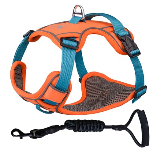 ZYTECO Hundegeschirr Leine Anzug Anti-Burst-Aufprall Verstellbar Reflektierend Wasserdicht Atmungsaktiv Geschirr Mit Leine,Orange,L von ZYTECO