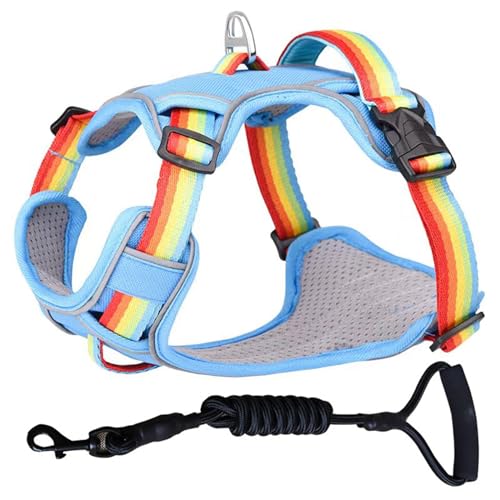 ZYTECO Hundegeschirr Leine Anzug Anti-Burst-Aufprall Verstellbar Reflektierend Wasserdicht Atmungsaktiv Geschirr Mit Leine,Rainbow Blue,L von ZYTECO