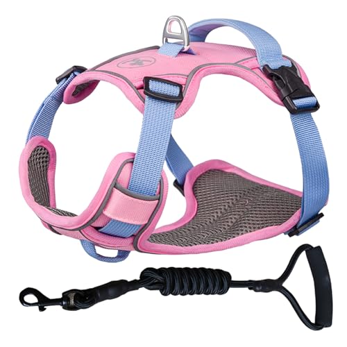 ZYTECO Hundegeschirr Leine Anzug Anti-Burst-Aufprall Verstellbar Reflektierend Wasserdicht Atmungsaktiv Geschirr Mit Leine,Rosa,XS von ZYTECO