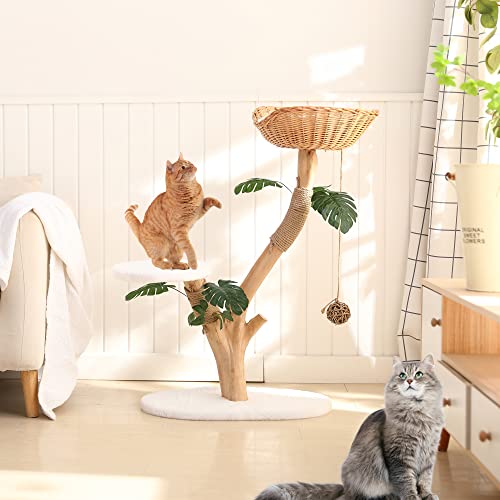 Holz Kratzbaum mit Blättern, moderner Katzenbaum für Indoor-Katzen, mittelgroßer Katzenturm für große Katze, einzigartiger natürlicher Holz-Katzenbaum für Kätzchen, Pflanzenkatzenbaum mit Korb von ZYUTONG