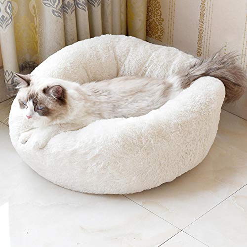 ZZDXL Katzenbett Plüsch Waschbar Weiß Hundebett Donut Gemütliches Haustierbett Waschbar, Soothing Bed Dog(70cm) von ZZDXL