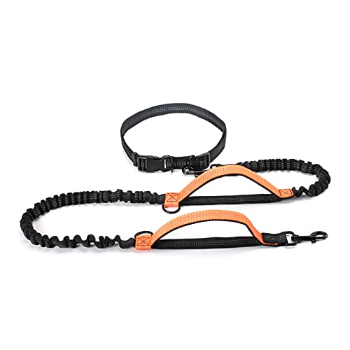 ZZYQDRTT Einziehbare Bungee-Hundeleine mit Zwei Griffen für große Hunde - ideal zum Laufen - Leuchtend orange Farbe von ZZYQDRTT