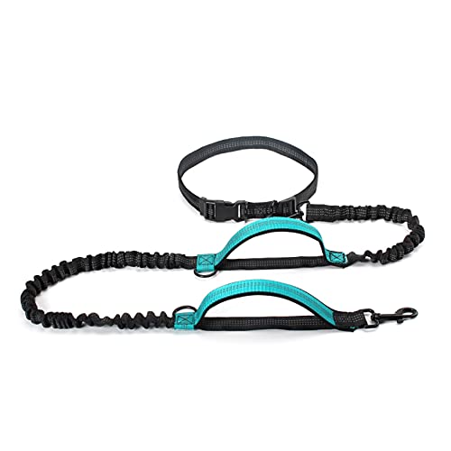 ZZYQDRTT Turquoise Hundeleine: Einziehbare Bungee-Leine mit Zwei Griffen für große Hunde, ideal zum Laufen von ZZYQDRTT