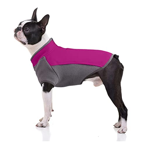 ZZZYW Haustier Winterkleidung Hund Hoodie Dicke Stretch Warme Mantel Weste Mantel Welpen Kleidung Pullover Zwei Beine (Color : Purple, Größe : XL) von ZZZYW