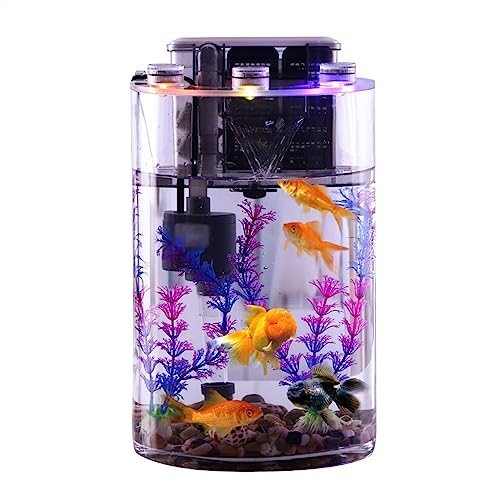 Fischschale Zylindrisches Aquarium aus transparentem Glas, verdicktes kleines Aquarium mit Filterpumpe und LED-Leuchten, einfacher ökologischer Tank Aquarium für Fischschale Zylindrisches Aquarium aus transparentem Glas, verdicktes kleines Aquarium mit Filterpumpe und LED-Leuchten, einfacher ökologischer Tank Aquarium für von ZZlei2yu-12