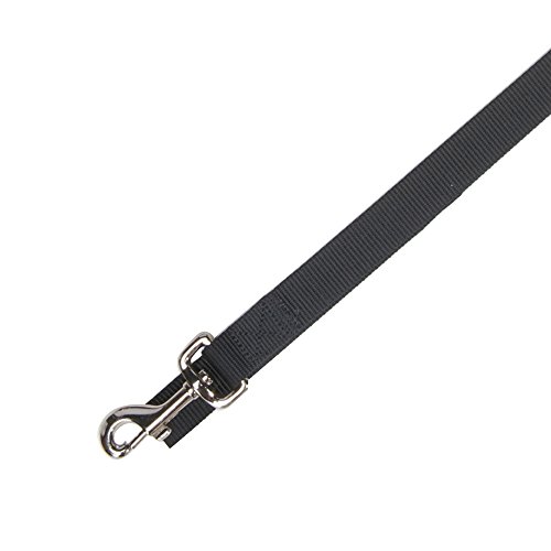 Zack & Zoey Basic Nylon Dog Leash, 6-Feet x 1-Inch Lead, Jet Black von Zack & Zoey