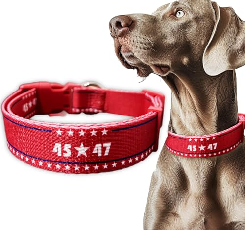 2024 Hundehalsband, Blau / Rot von ZamouK