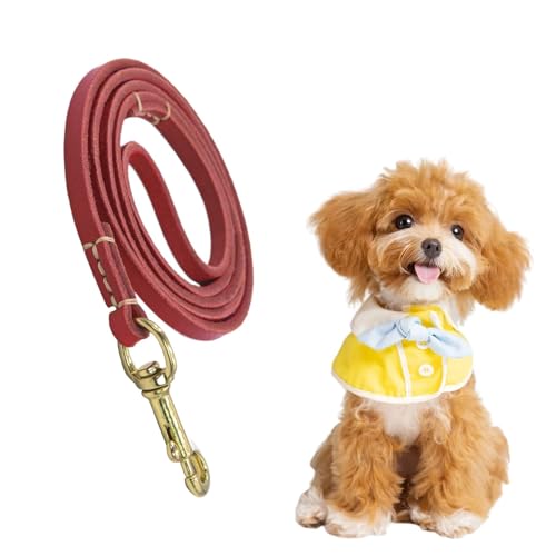 Zasdvn Hundetraktionsseil, Hundewanderseil | Seil für mittlere Hunde | Animal Safety Belt, ergonomisches Design für das Wandertraining von Zasdvn