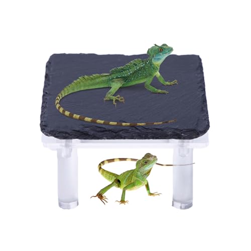 Zasdvn Schildkröten Sonnenstein,Bartagamen Höhle Mit Acrylständer | Terrarium Deko Für Gecko Schildkröte Echse Schlange Zasdvn Schildkröten Sonnenstein,Bartagamen Höhle Mit Acrylständer | Terrarium Deko Für Gecko Schildkröte Echse Schlange von Zasdvn