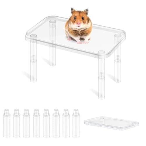 Hamsterplattform, Kunststoff, Kleintierständer, Spielplatz mit Beinen, höhenverstellbar, Hamsterkäfig, Spielzeug, Zubehör für Meerschweinchen, Rennmäuse, Chinchilla, Ratten, Maus (transparent) von Zayejod