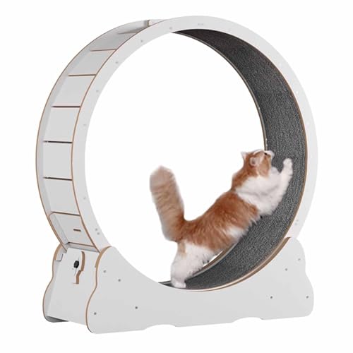 Cat Wheel Übungslaufband weiß, leise Katzenräder für Hauskatzen, kleines/großes Spielzeug, Katzen-Spinnrad-Trainingsgerät M von ZbOLi