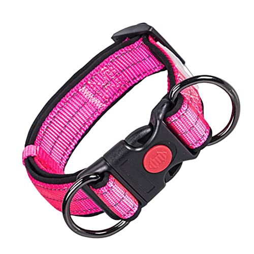 Hundehalsbänder - Reflektierendes Hundehalsband mit Schnellverschluss - Verstellbare Sicherheitshalsbänder aus Nylon für kleine und mittelgroße Hunde, im Dunkeln Leuchtend von Zceplem