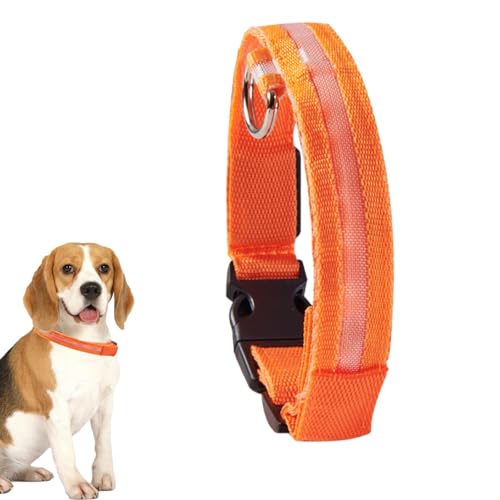 Leuchtendes Hundehalsband | Blinkendes Leuchthalsband für Hunde | Wiederaufladbares blinkendes LED-Hundehalsbandlicht, beleuchtetes Hundehalsband für Welpen, kleine, mittelgroße Hunde und von Zceplem