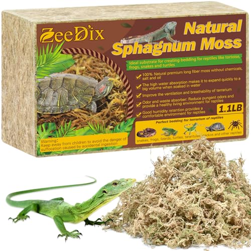 ZeeDix 0,5 kg natürliches Sphagnum-Moos für Reptilien, ausgewähltes sauberes getrocknetes Moos, Reptilienmoos, Torfmoos, Premium langfaseriges Sphagnum-Moos (500g) von ZeeDix