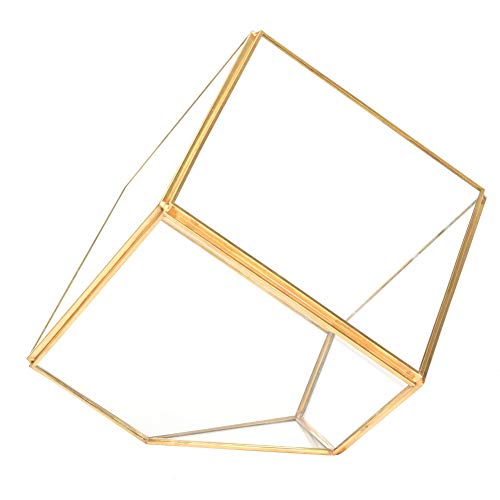 Goldfarbener Blumentopf mit geometrischer Form für Sukkulenten, Glas-Pflanzgefäß für die Tischdekoration zu Hause, moderner geometrischer Pflanzenbehälter, 15,2 cm von Zeehear