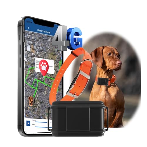 Zeerkeer 4G GPS Hunde Jagdhund Tracker Ohne ABO Weltweite Live-Ortung Wasserdicht Hund Halsbänder mit Haustiersuche durch Licht/Ton & Smart Activity Tracking Gerät für mittelgroßer bis großer Hund von Zeerkeer