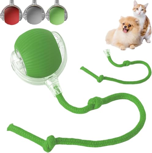 Smart Cat Toy Ball,Interaktiver Spielball mit Schwanz für Katzen,Katzenspielzeug Elektrisch mit USB Aufladbar,Katzenspielzeug Elektrisch Ball Interaktiv,Interaktives Hundespielzeug Ball mit Schnur von ZeiLaBang Kakadi