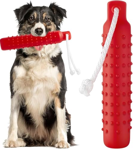 ZeiLaBang Kakadi Hundespielzeug,Schwimm Spielzeug für Hunde,Wasser Interaktives Hundespielzeug,Schwimmender Trainingsstab für Wurf- und Apportierspiele an Land und im Wasser,Für Outdoor geeignet ZeiLaBang Kakadi Hundespielzeug,Schwimm Spielzeug für Hunde,Wasser Interaktives Hundespielzeug,Schwimmender Trainingsstab für Wurf- und Apportierspiele an Land und im Wasser,Für Outdoor geeignet von ZeiLaBang Kakadi