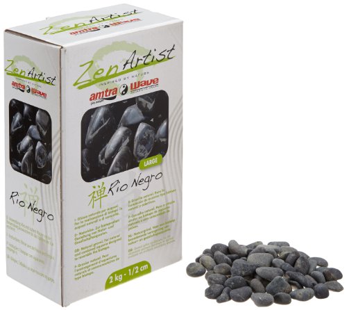 Zen Artist Wa4050468 Rio Negro L, 2 kg, schwarz von Zen Artist