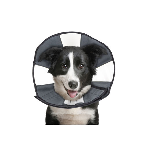 ZenPet Zen Collar - L von Zenpet