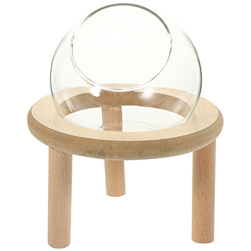 Hamsterbett Hamstersandbad Glashamsterversteck Terrarienständer Sandbadewanne Graben Haushalt Hamster Badezimmer Hamsterbad Sandbad Für Hamster Glas Pflanzenständer Haustier von Zerodeko