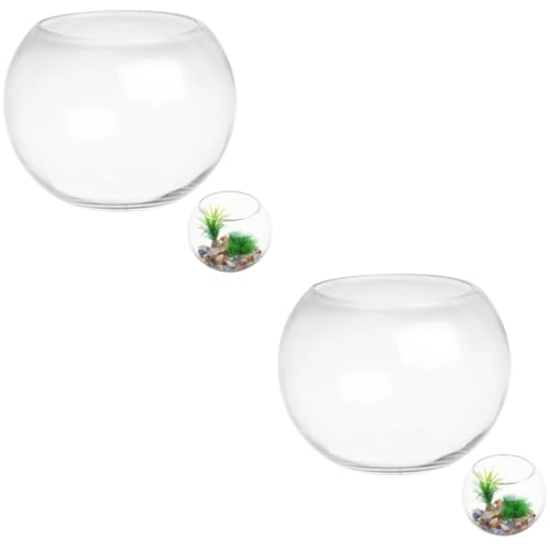 Zerodeko 2St Fischbecken aus Glas Bürodekoration Mini-Fischschalen Tischdekorationen Piercing-Set Kerzenhalter kleines Aquarium kleine Fischschüsseln die Blase Sukkulente Pflanzen Panzer von Zerodeko