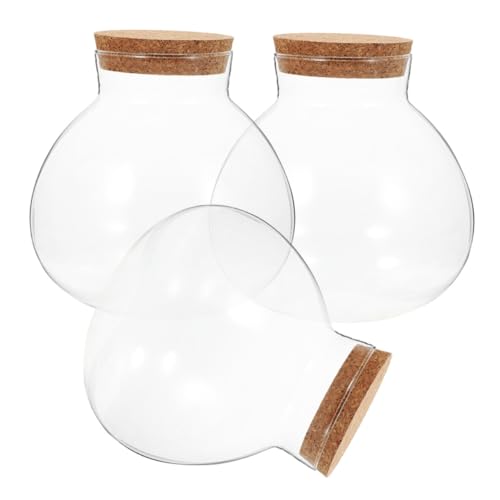 Zerodeko 3 Stück Mikro Landschaftsflaschen Sets Für Schlafzimmer Wohnzimmer Dekor Terrarium Moospflanze Terrarium Glas Moospflanze Flasche Desktop Sukkulentenflasche Heimbedarf von Zerodeko