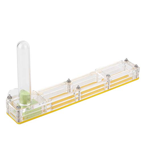 Acrylic Breeding House, transparente Insektenzuchtbox, Nest Formicarium Display Box, Ameisen-Lebendfutterbox mit Wasserturm-Feuchtigkeitsversorgung(Gelb) von Zerodis