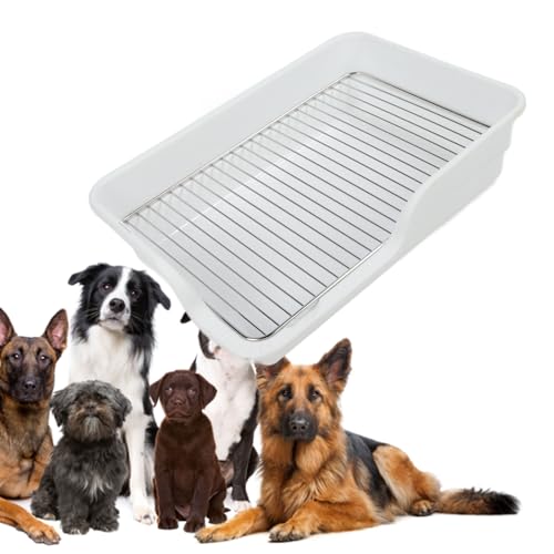 Hundetöpfchen-Tablett, Pinkelpad-Halter, 48,3 X 33 cm, für den Innenbereich, für Hundetraining, Toilette für Hunde, Badezimmer, Hundetoilette, Kunststoff-Töpfchentablett, (White) von Zerodis