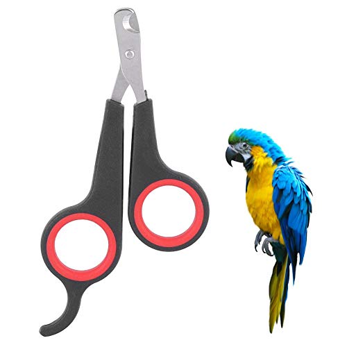 Zerodis Bird Nail Clipper Grooming Tool Nagelschere Clipper Pet Bird Papagei Kleintiere Zubehör für kleine Papageienvögel von Zerodis