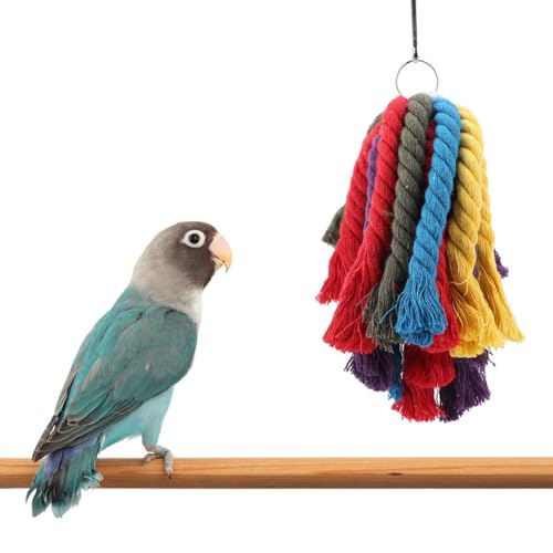 Birds Chewing Toy, bunt hängendes Baumwollseil Pet Parrot Bite Shred Toy Futtersuche Schaukelstangen Wellensittich Käfig Zubehör für Sittich Nymphensittich Ara von Zerodis