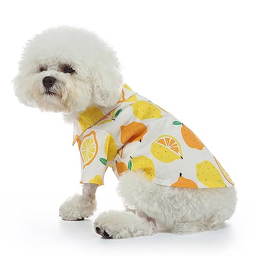 Zerodis Haustier-Sommer-T-Shirt, Hunde-Sommer-Shirts, Zitronen-Hundekleidung, Bedruckt, Atmungsaktiv, Coole Hawaii-Hunde-Shirts für Kleine Bis Mittelgroße Welpen, Hunde, Katzen, (M) von Zerodis